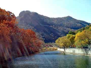 新澳天天开奖资料大全旅游团，北京鸡